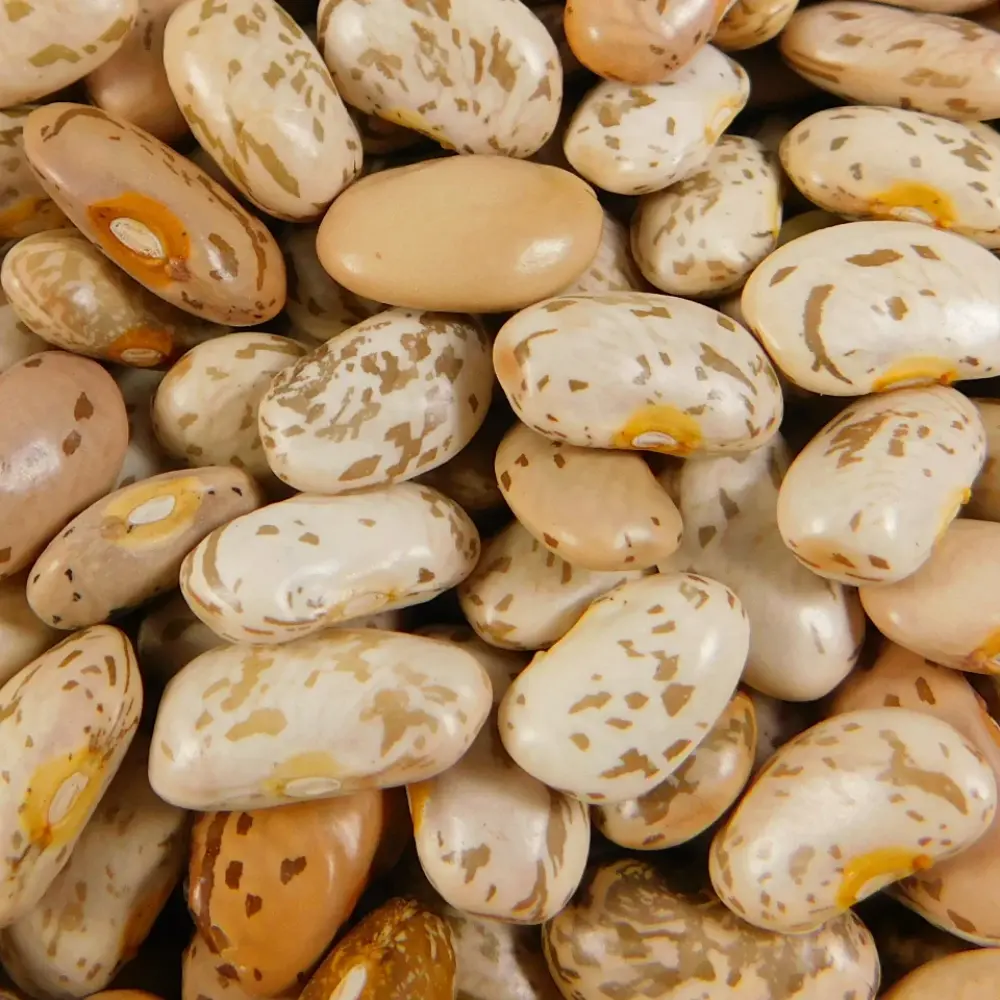 FRIJOL BAYO · 1KG